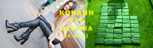 шишки Балахна