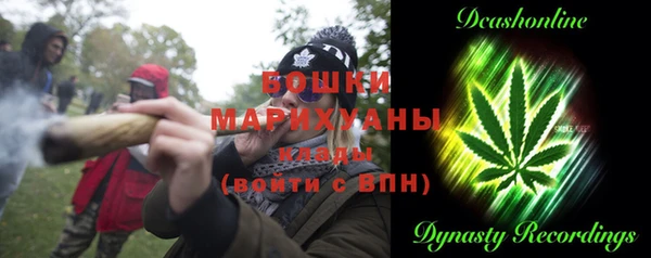 прущие грибы Баксан