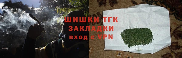 прущие грибы Баксан