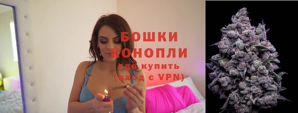 PSILOCYBIN Арсеньев