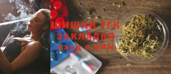 прущие грибы Баксан