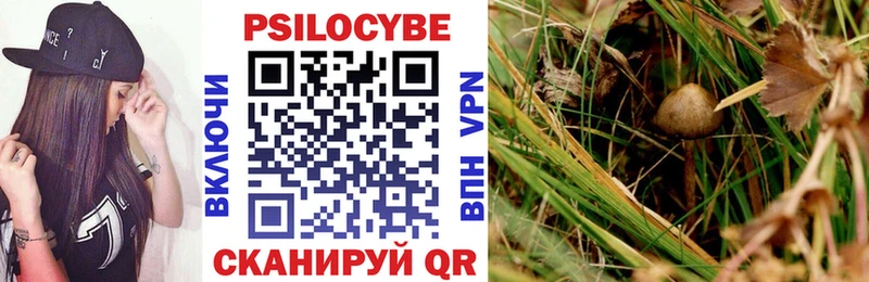 Галлюциногенные грибы Cubensis Купино