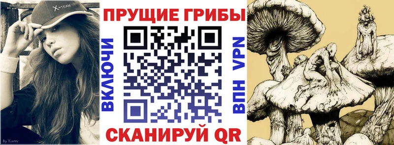 Галлюциногенные грибы мицелий  Купино 